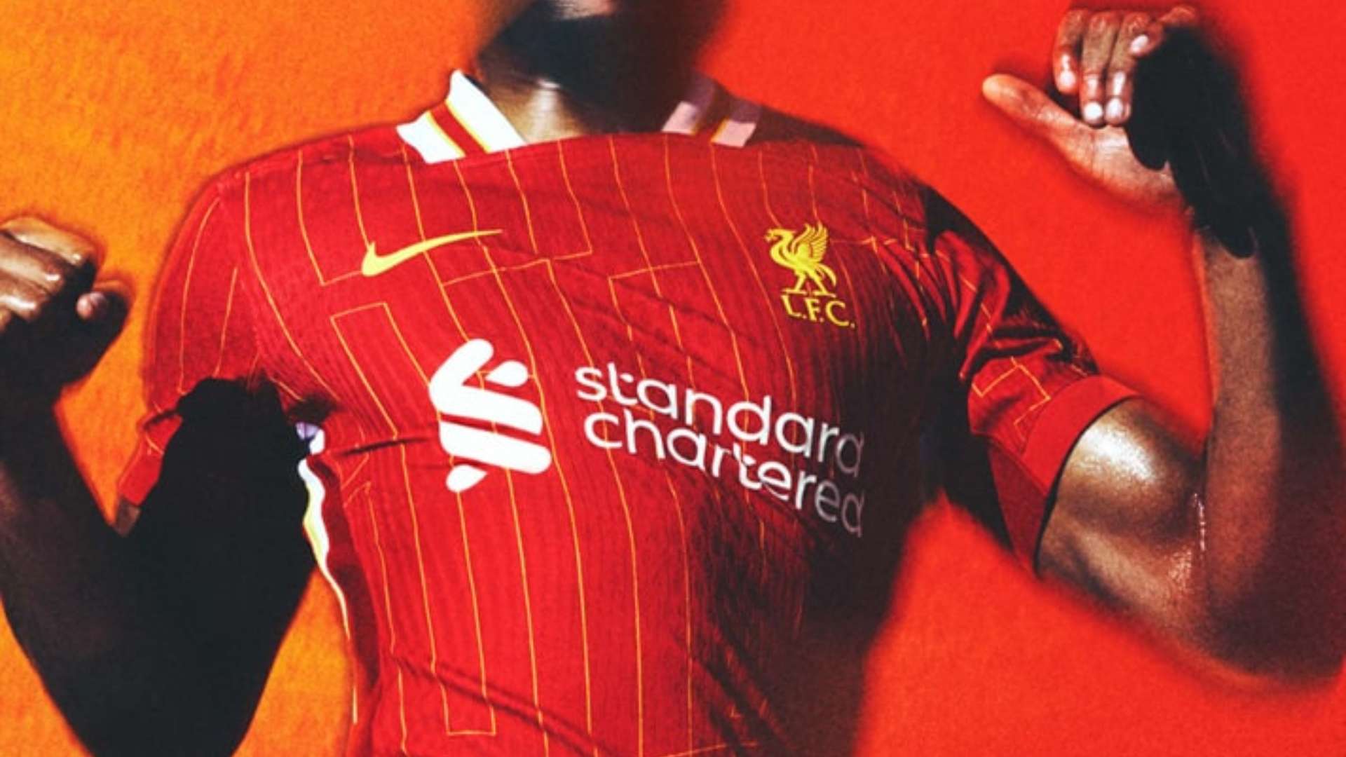 不妨看看以 不妨看看以