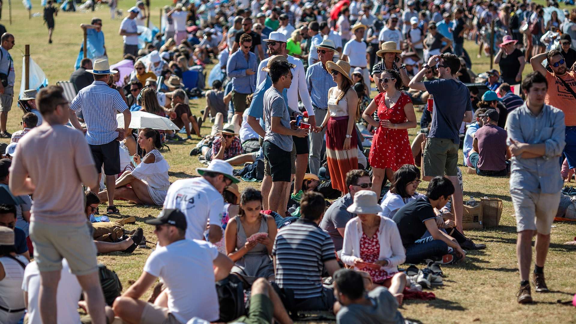 新疆队的外 新疆队的外